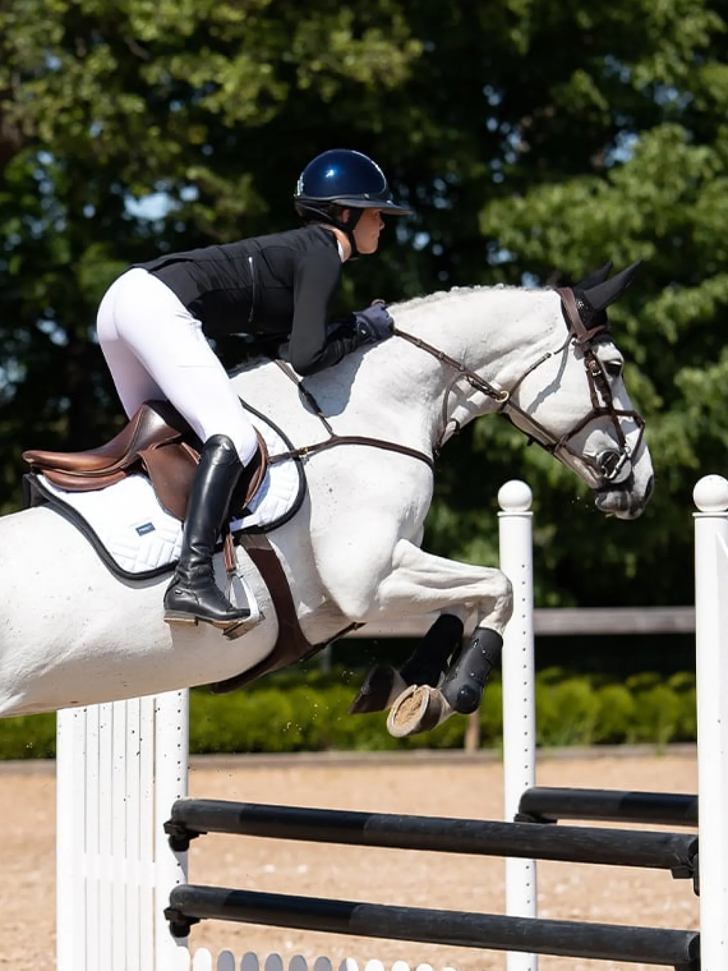 Anatomische Gamaschen Tendon Boots