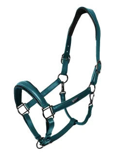 Anatomisches Glimmer Leder Halfter