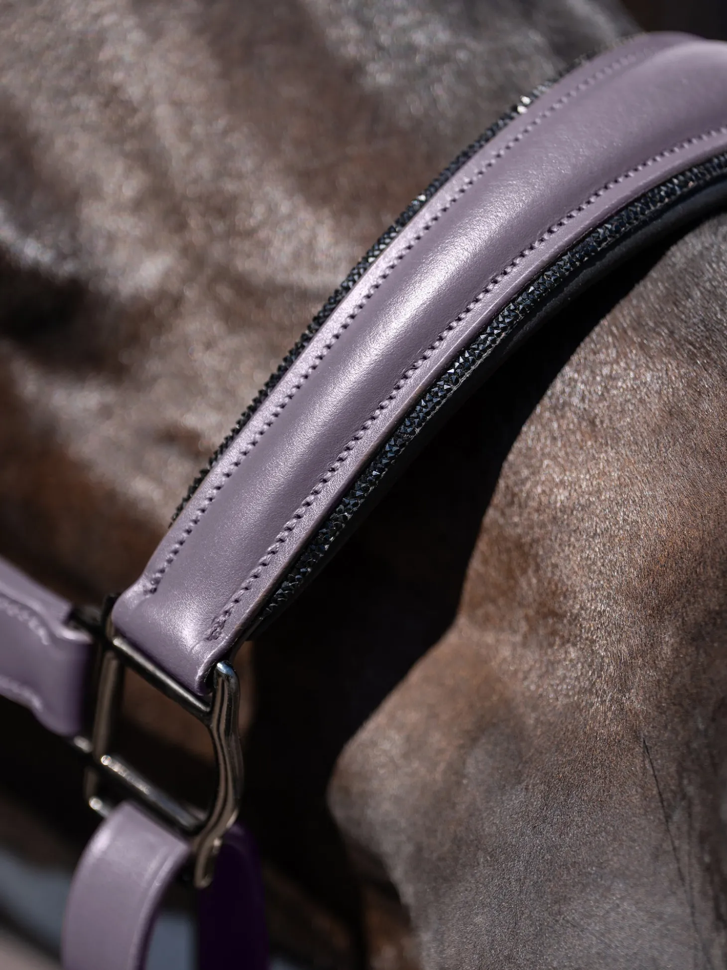 Anatomisches Glimmer Lederhalfter