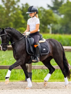 Crystal Champion Top Young Rider