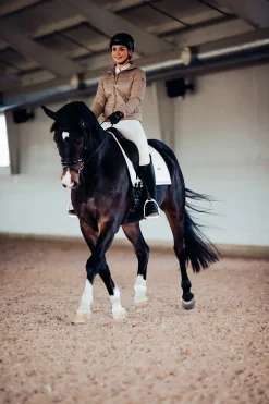 Dressurschabracke Gold