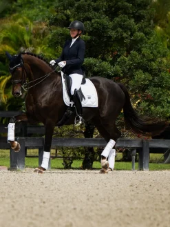 Dressurschabracke Silver