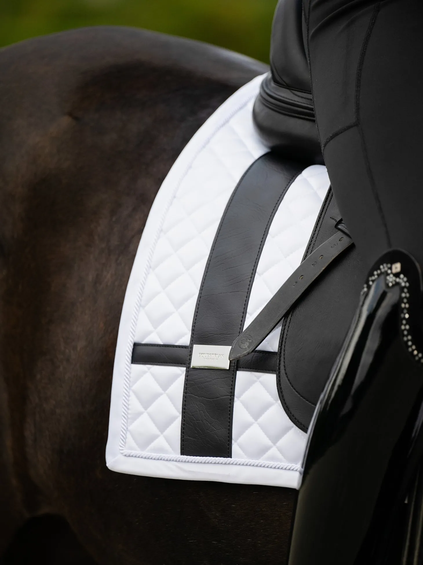 Dressurschabracke White