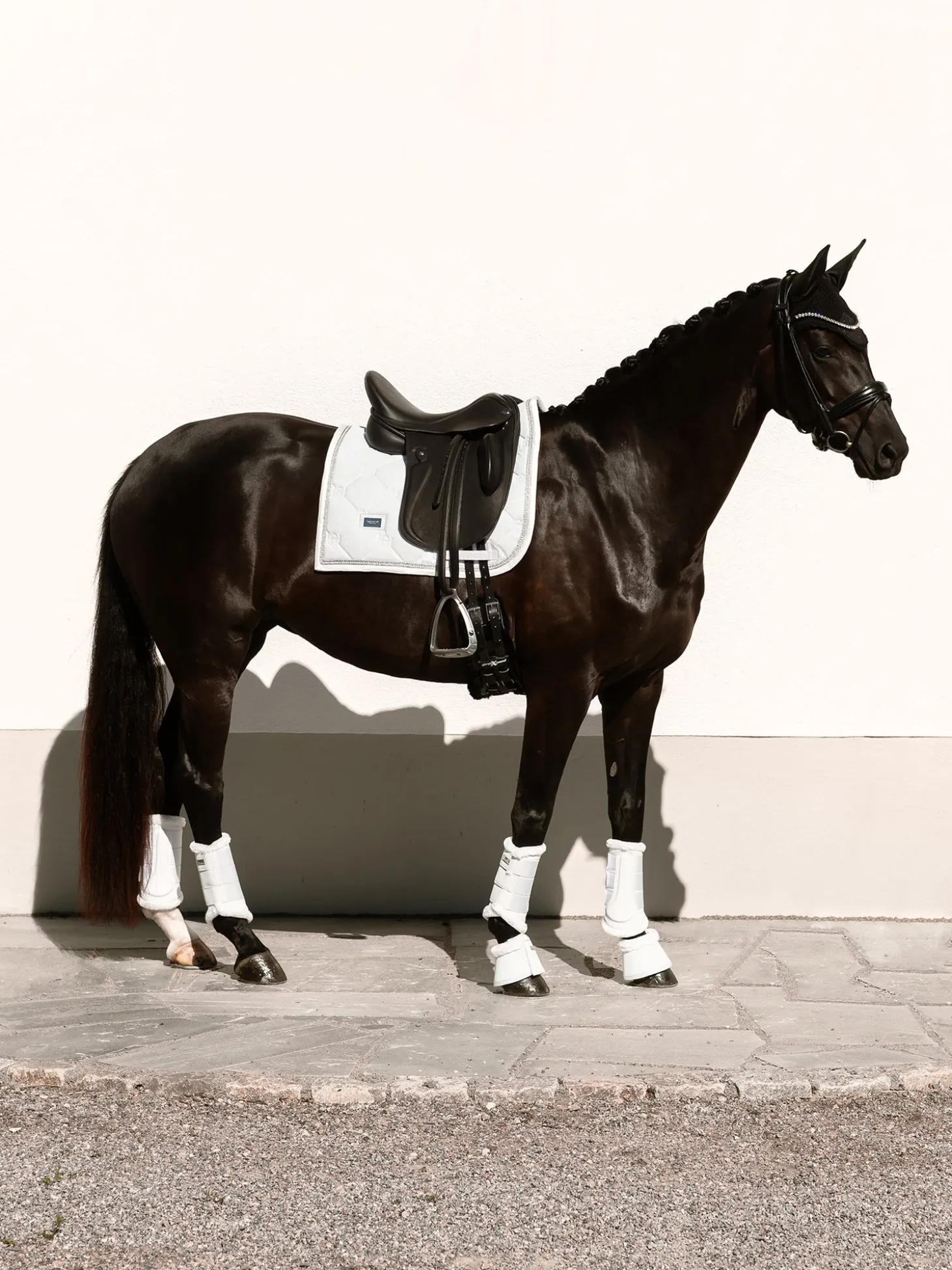 Dressurschabracke Crystal