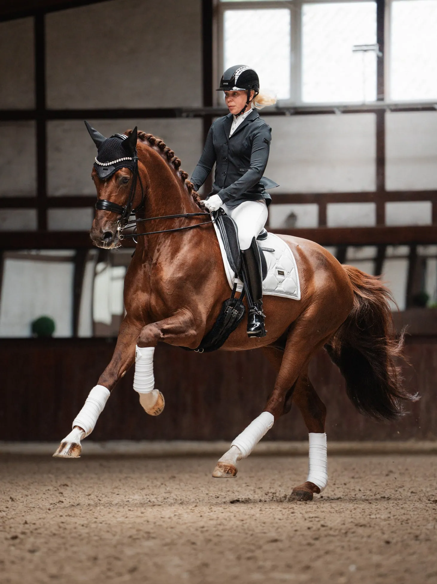 Dressurschabracke Crystal