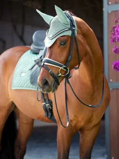 Dressurschabracke Modern