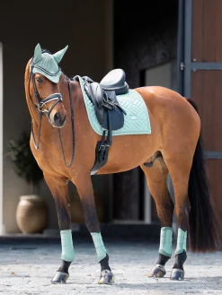 Dressurschabracke Modern