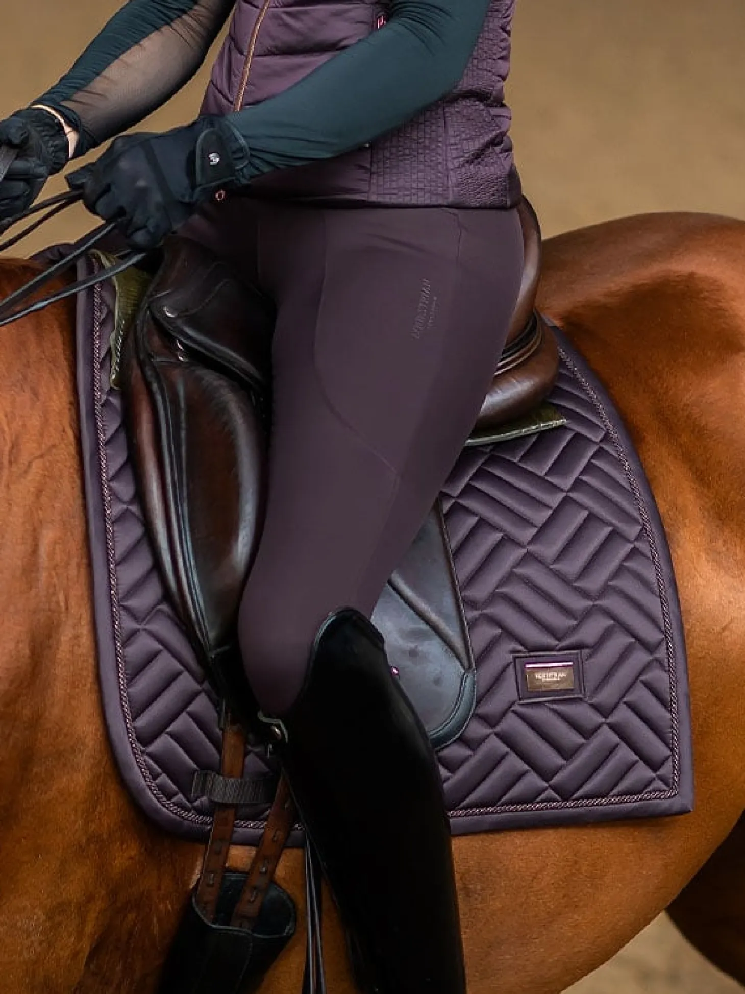 Dressurschabracke Modern