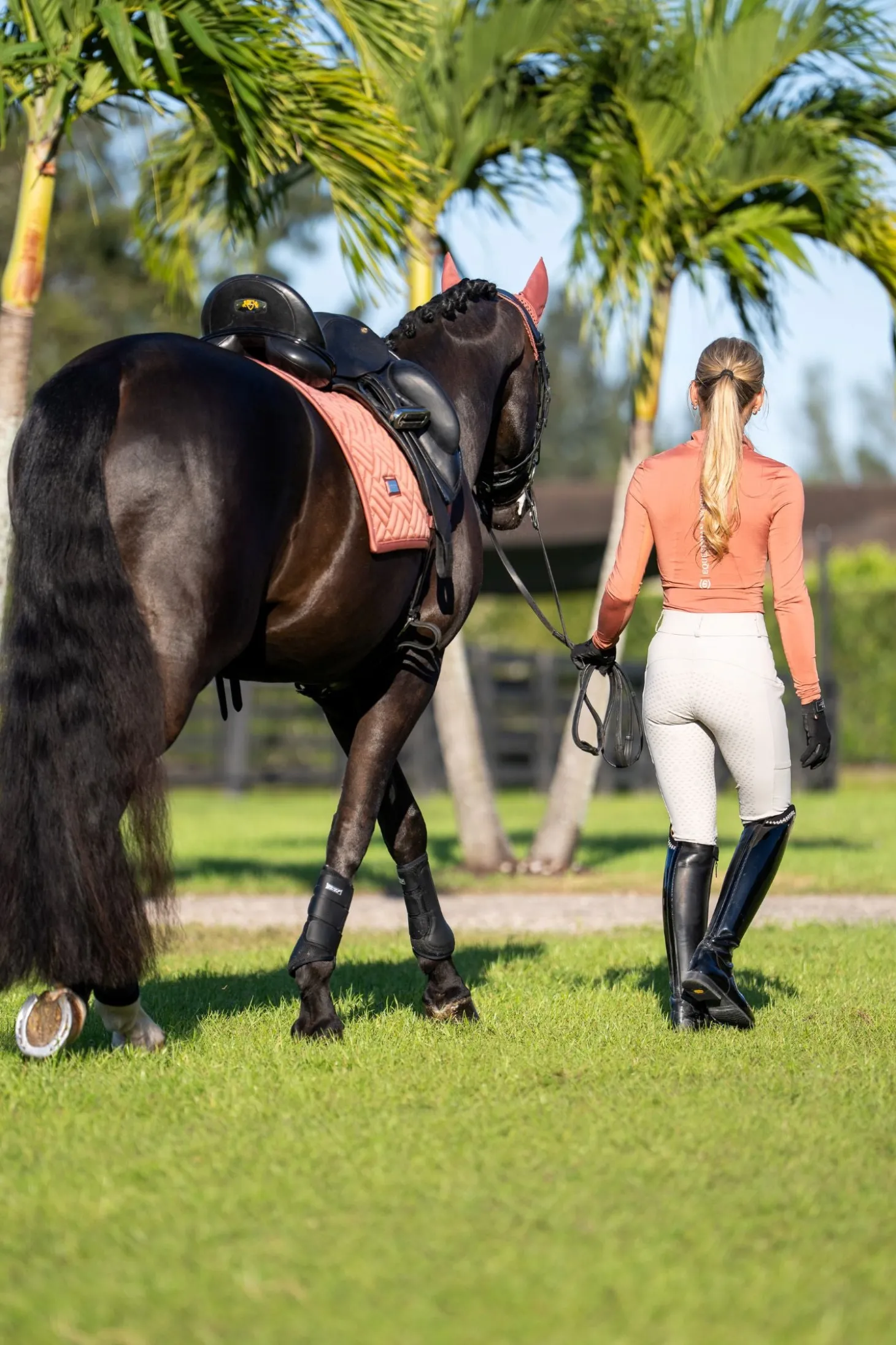 Dressurschabracke Modern