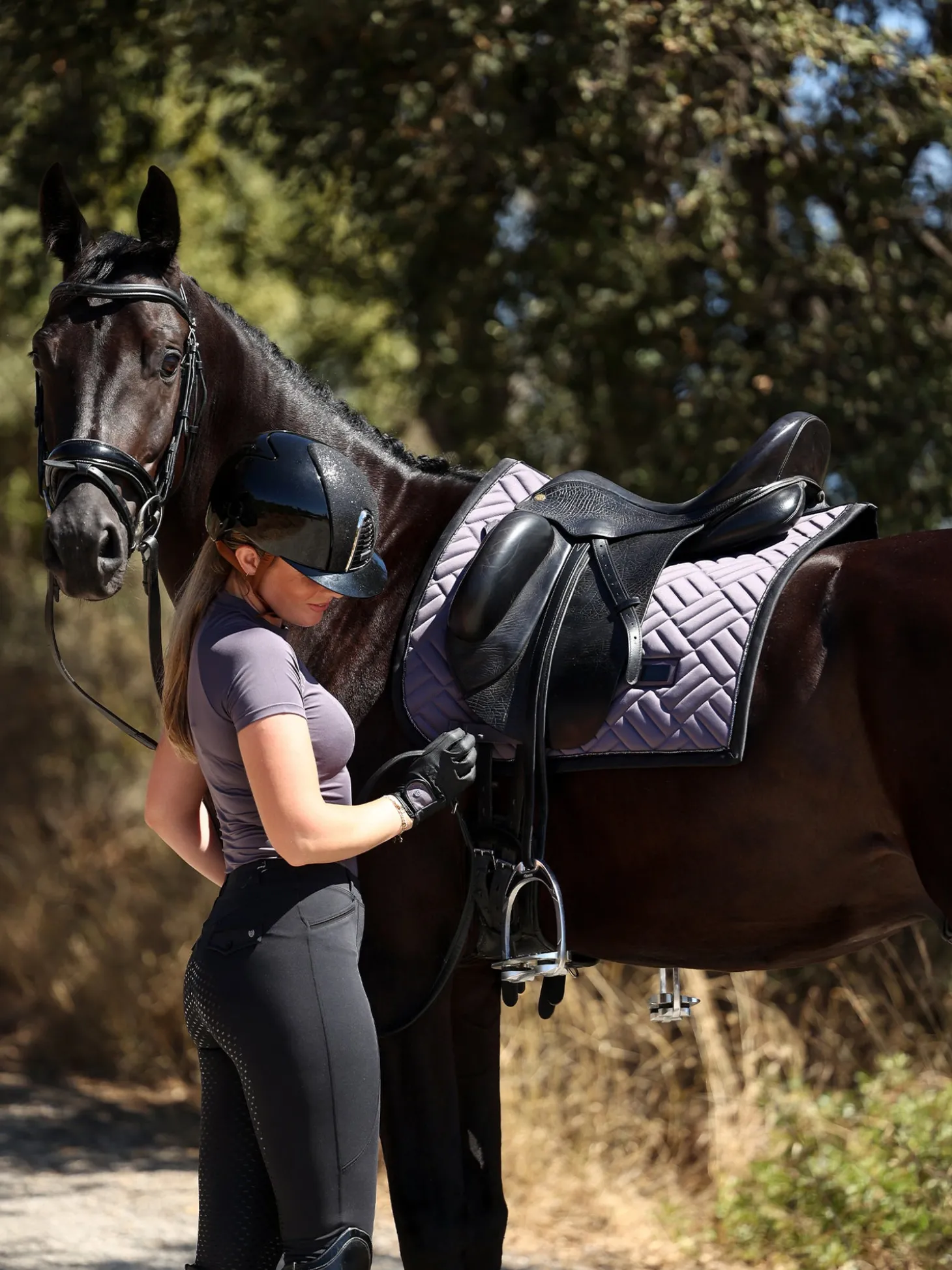 Dressurschabracke Modern