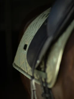 Dressurschabracke Modern