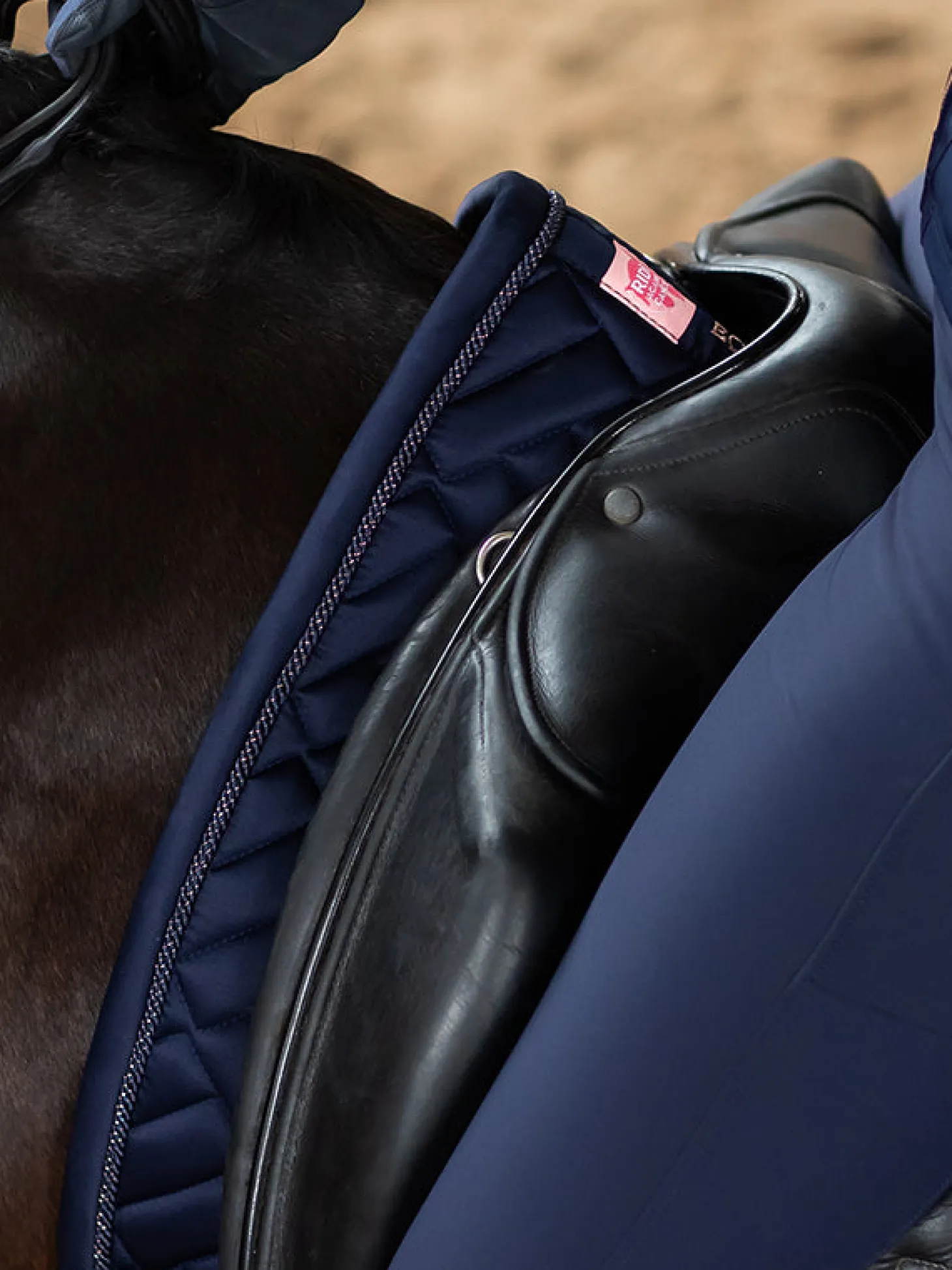 Dressurschabracke Modern