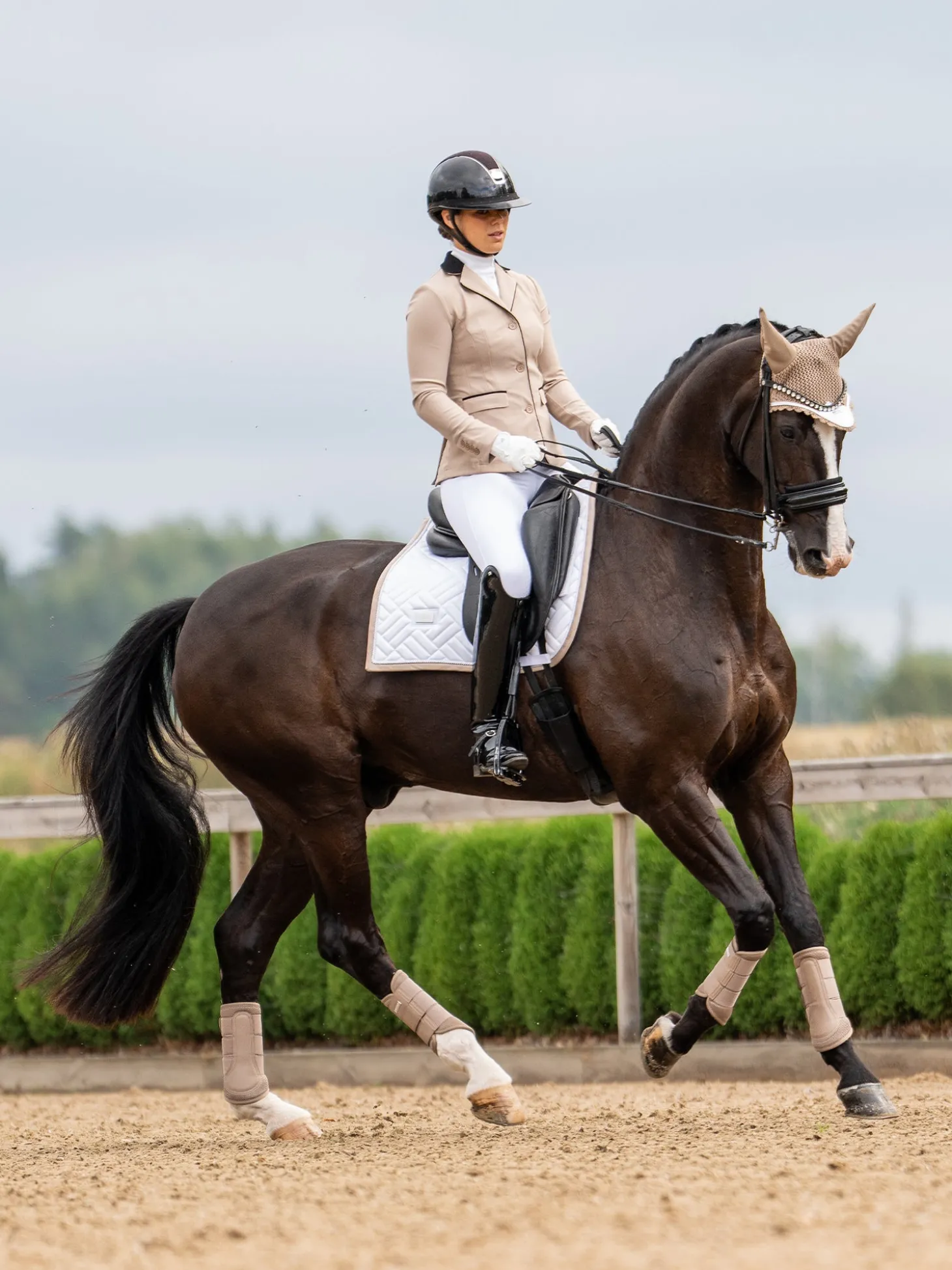 Dressurschabracke Modern White