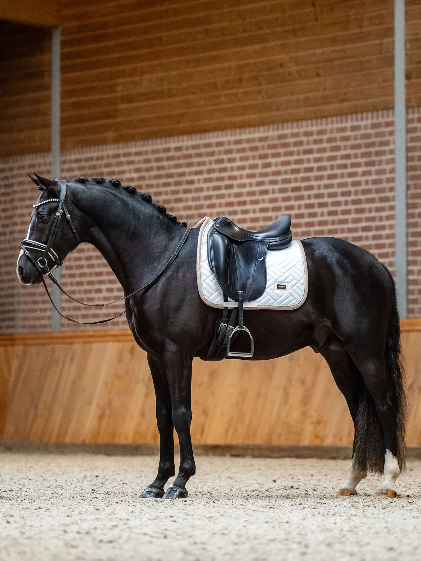 Dressurschabracke Modern White