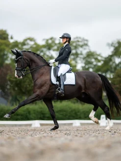 Dressurschabracke Modern White Black