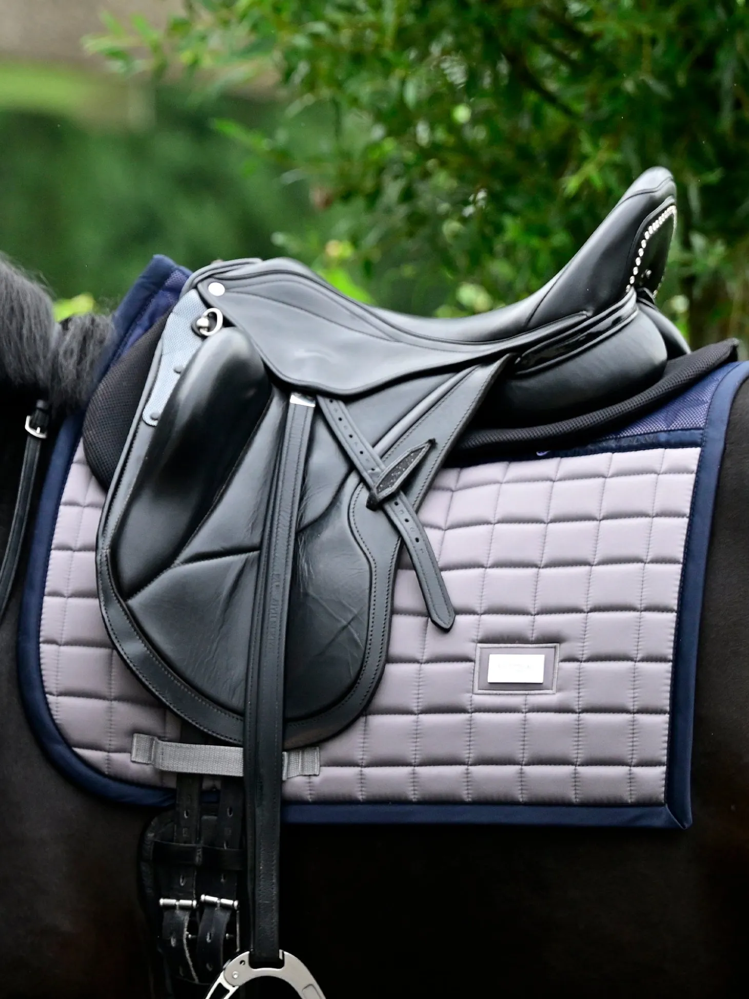 Dressurschabracke Performance