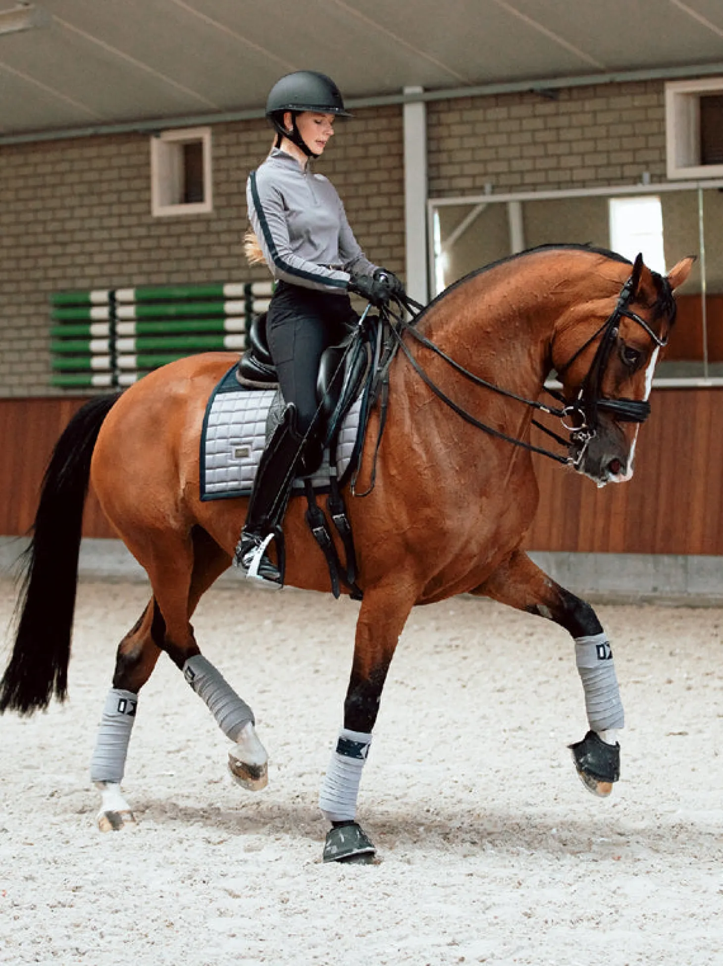 Dressurschabracke Performance