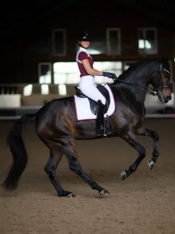 Dressurschabracke White Perfection