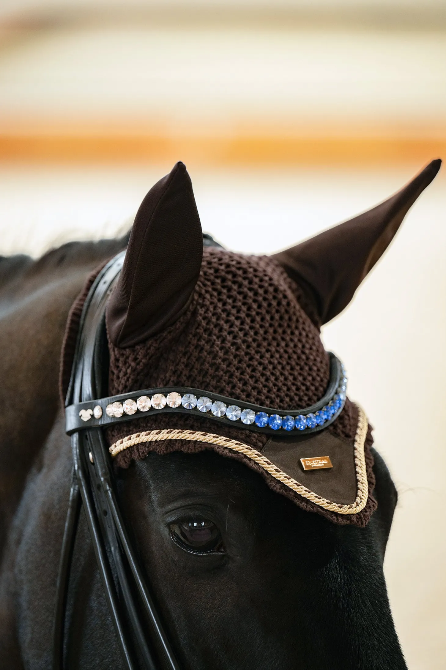 Fliegenhaube