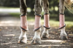 Gamaschen Brushing Boots
