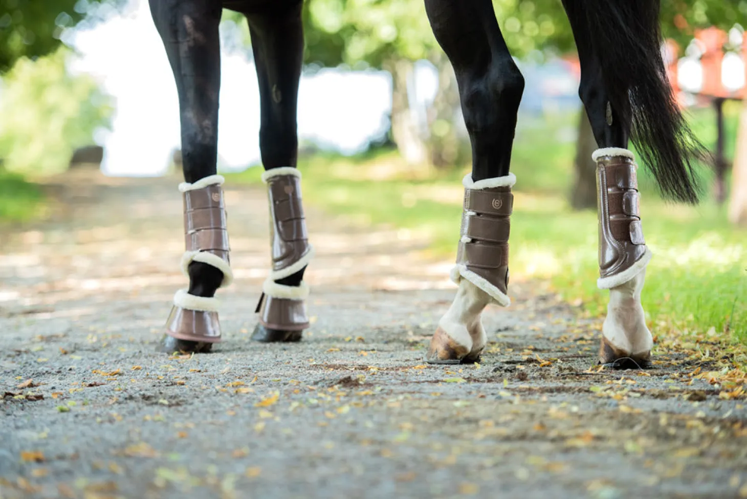 Gamaschen Brushing Boots