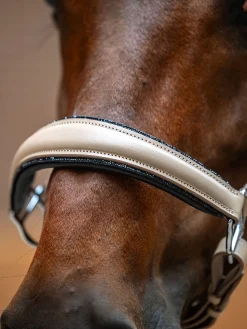 Glimmer Anatomisches Leder Halfter