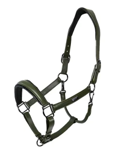 Glimmer Anatomisches Leder Halfter