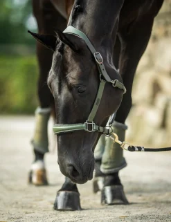 Glimmer Anatomisches Leder Halfter