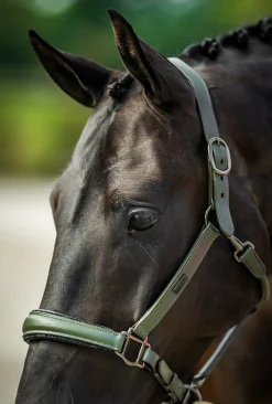 Glimmer Anatomisches Leder Halfter