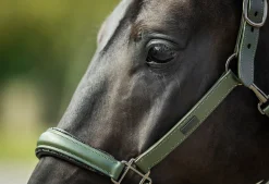 Glimmer Anatomisches Leder Halfter