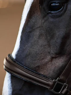 Glimmer Anatomisches Lederhalfter