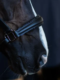 Glimmer Anatomisches Leder Halfter