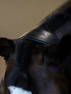 Glimmer Anatomisches Leder Halfter