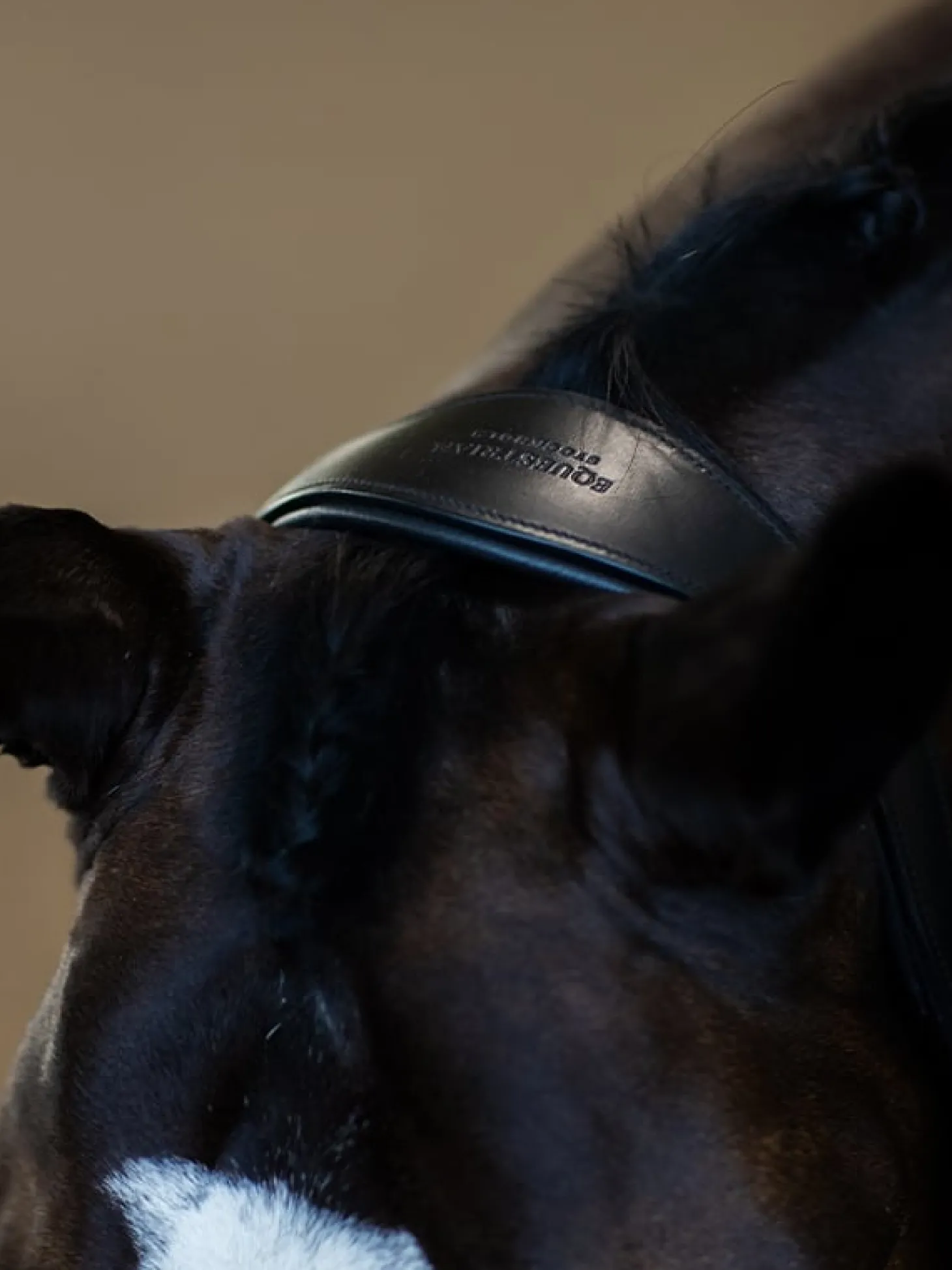 Glimmer Anatomisches Leder Halfter