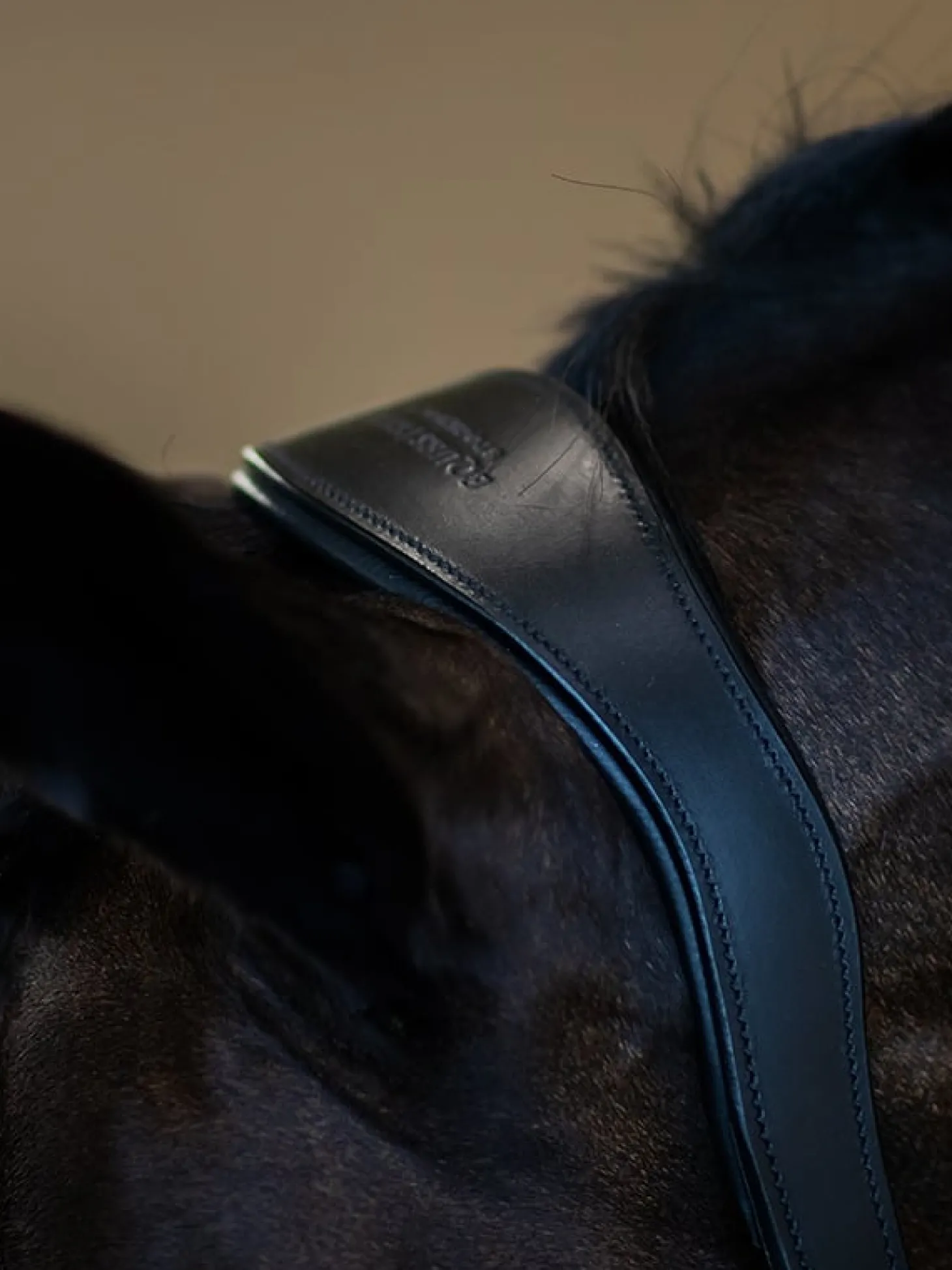 Glimmer Anatomisches Leder Halfter