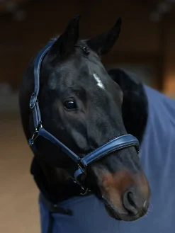 Glimmer Anatomisches Leder Halfter