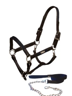 Halfter & Strickt Silber