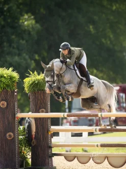 Padded Fliegenhaube Modern