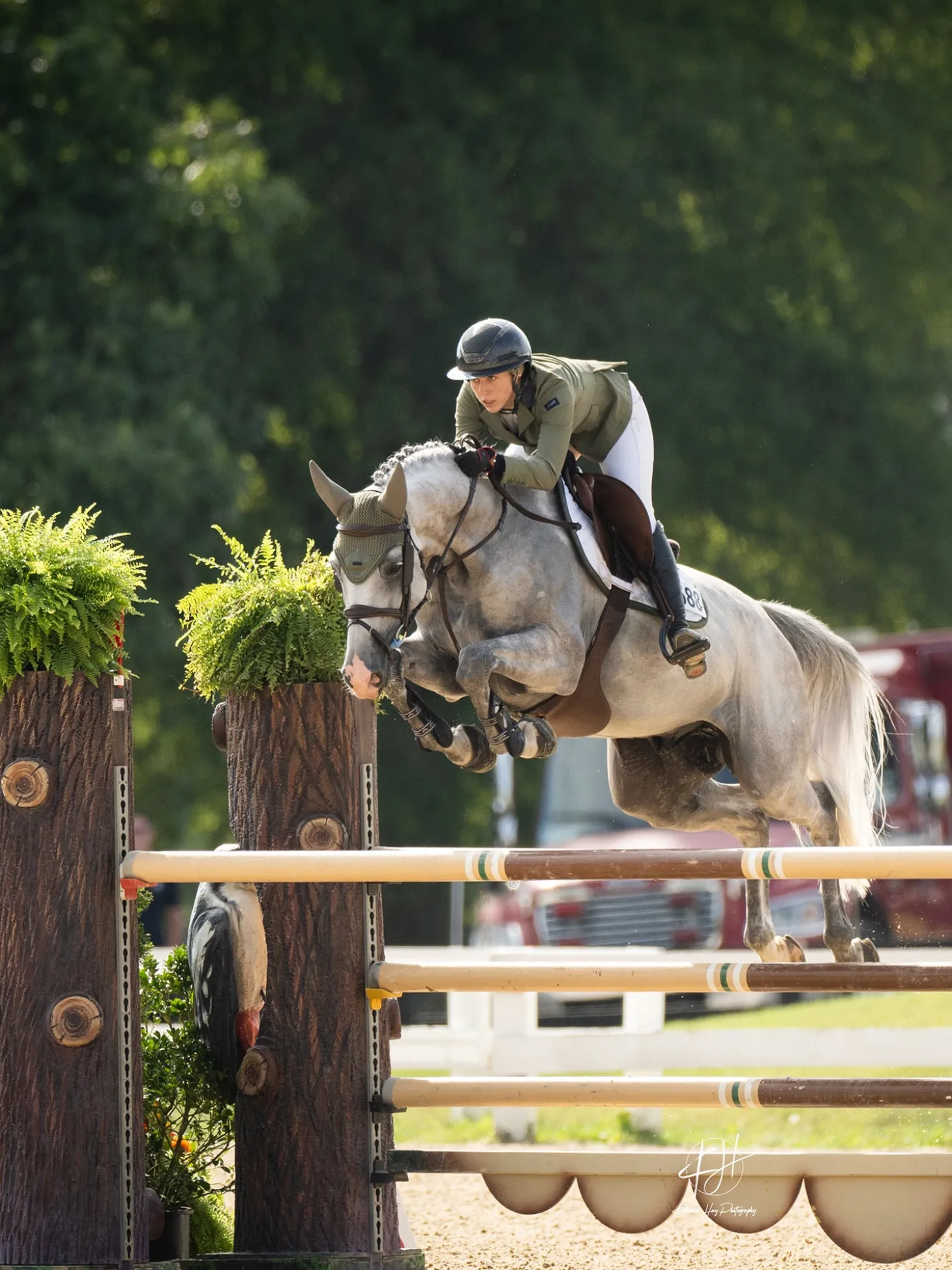 Padded Fliegenhaube Modern