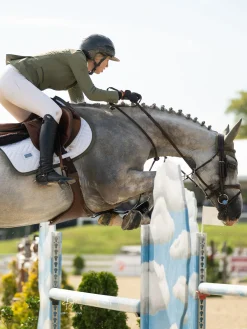 Padded Fliegenhaube Modern