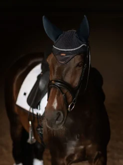 Padded Fliegenhaube Modern