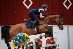 Springschabracke Blau