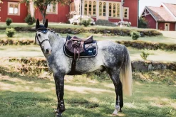 Springschabracke Blau