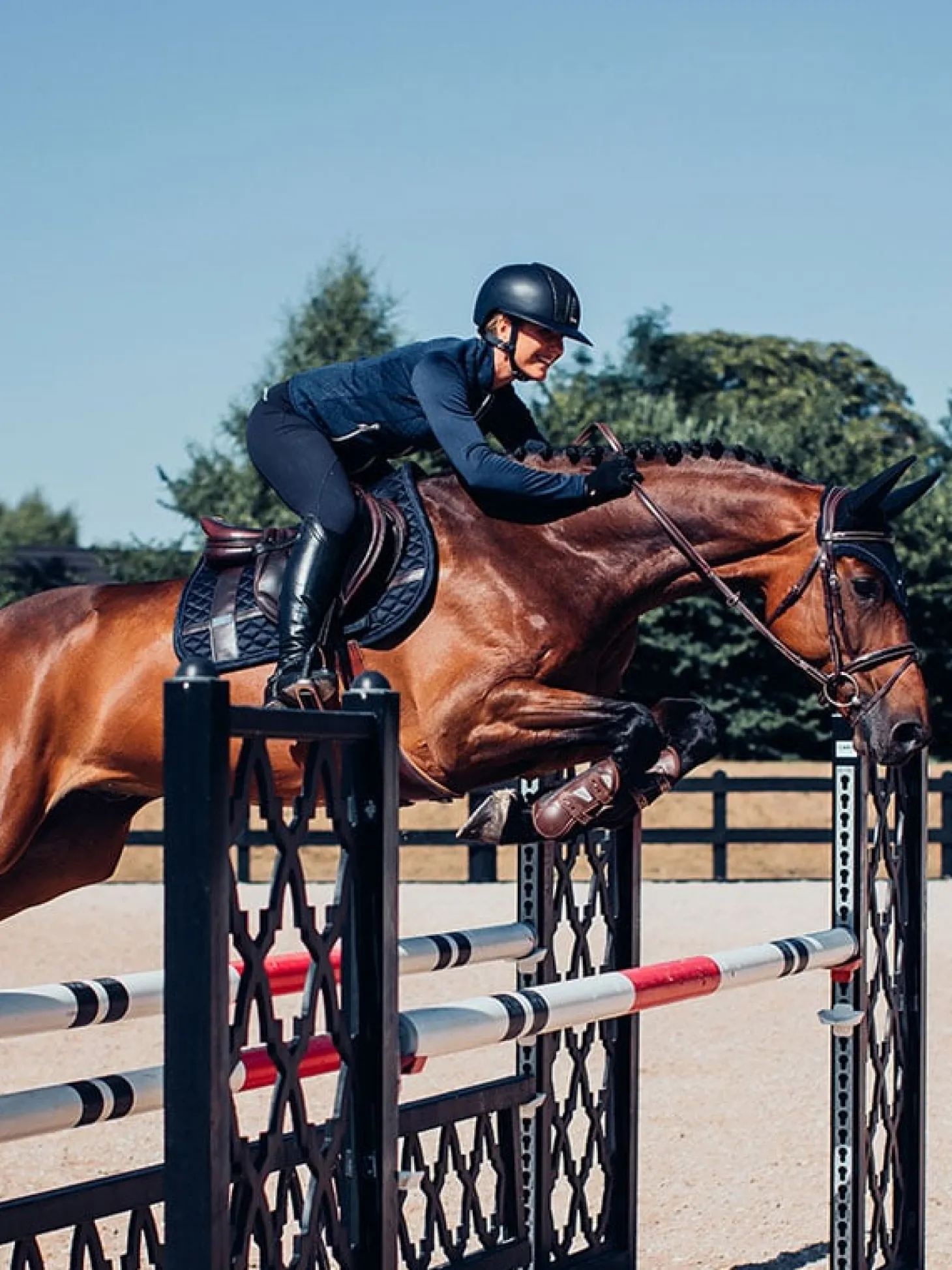 Springschabracke Silver