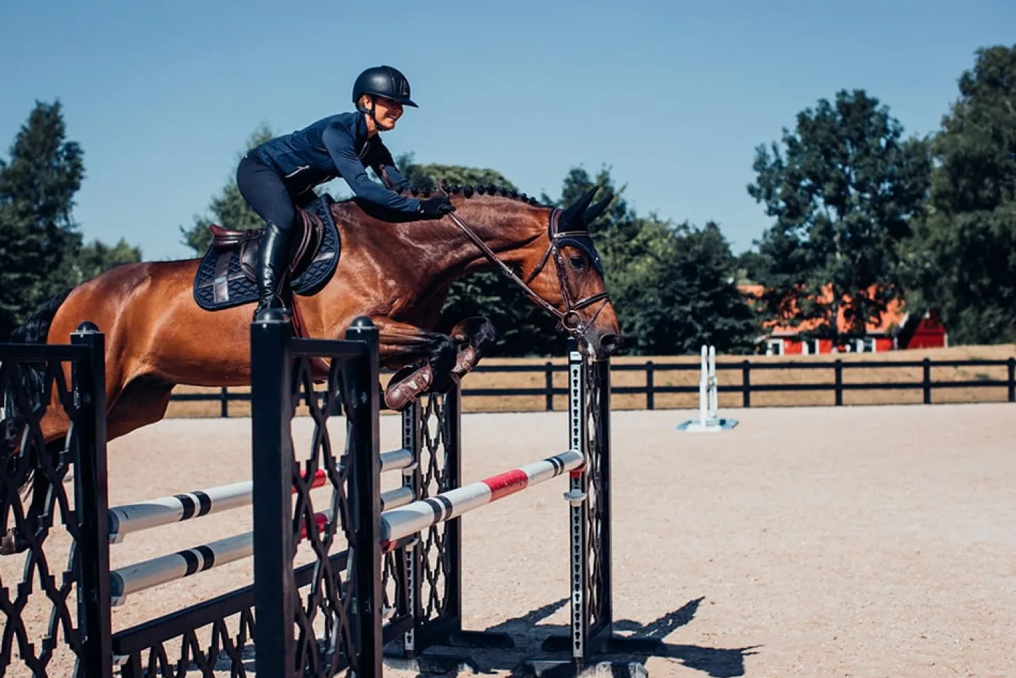 Springschabracke Silver