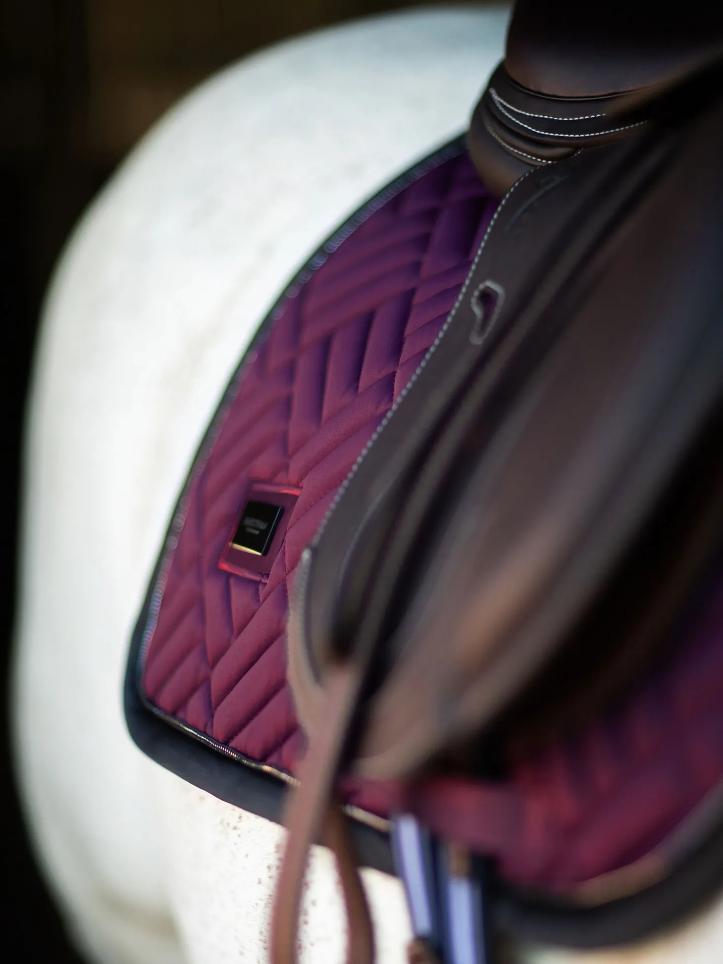 Springschabracke Modern