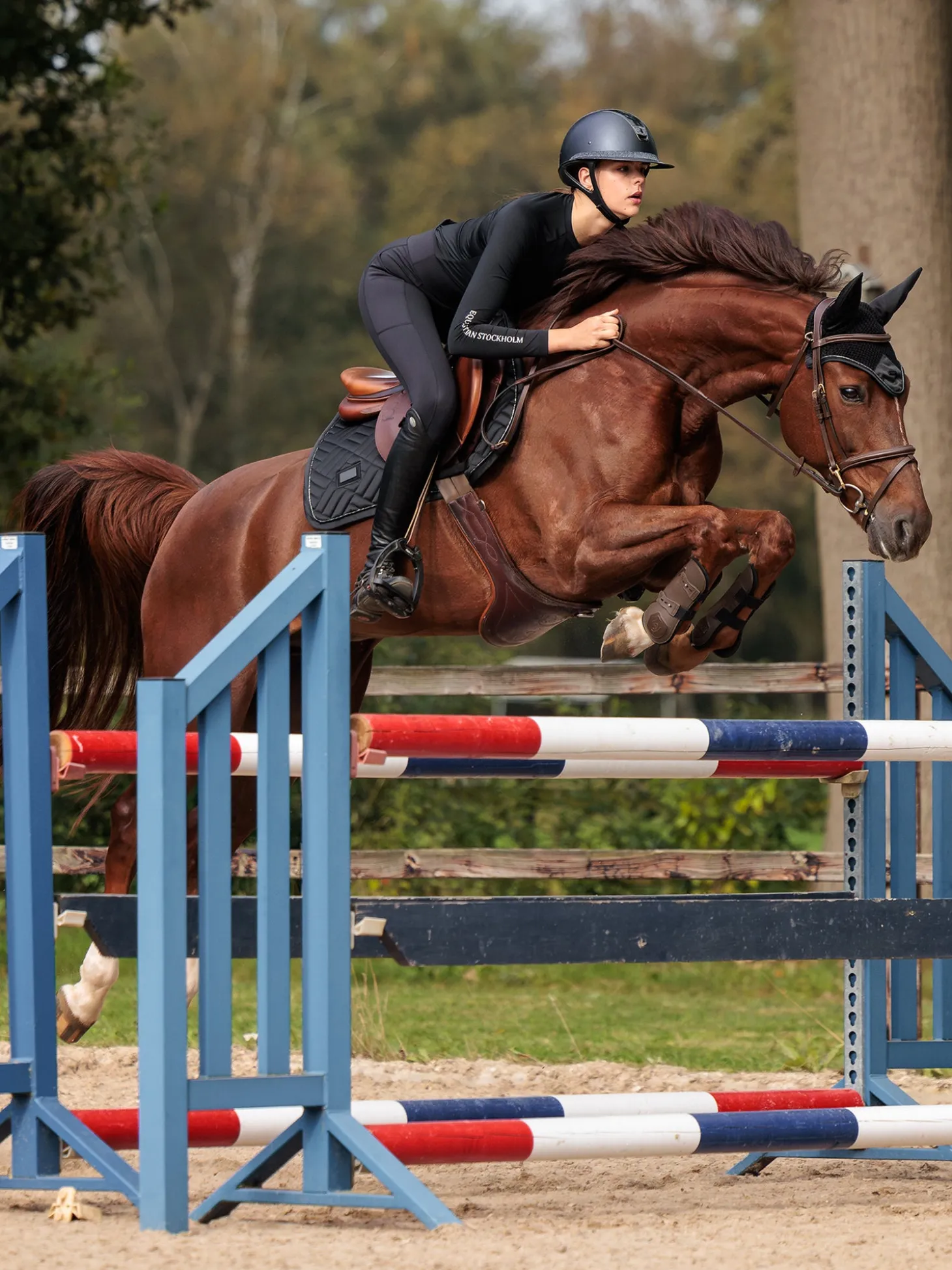 Springschabracke Modern