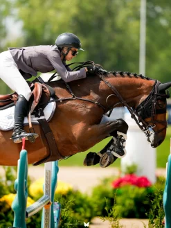 Springschabracke Modern White