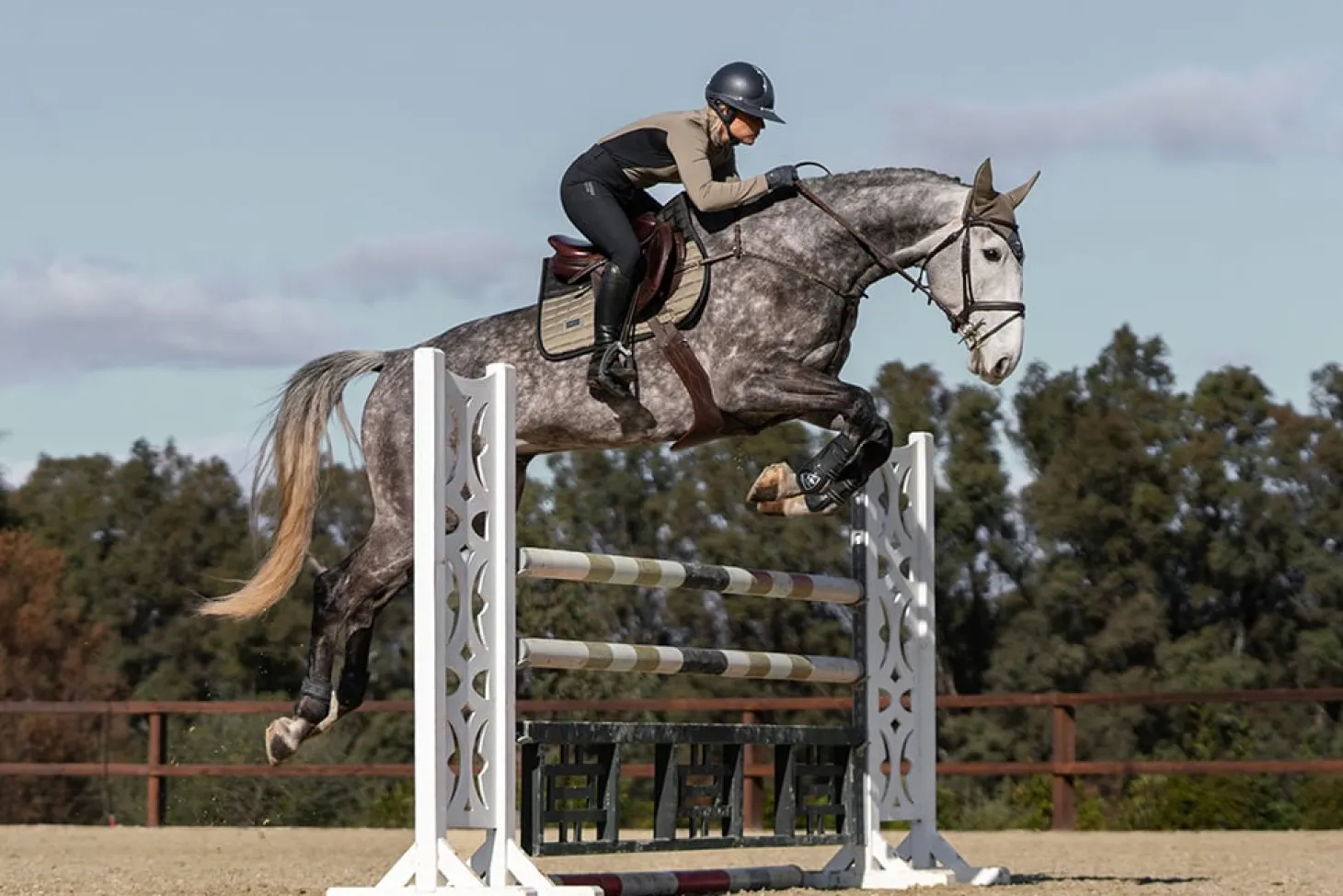 Springschabracke Performance